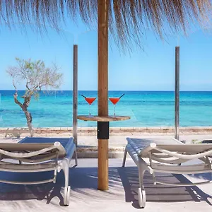 4* Hotel Ferrer Concord & (adults Only)